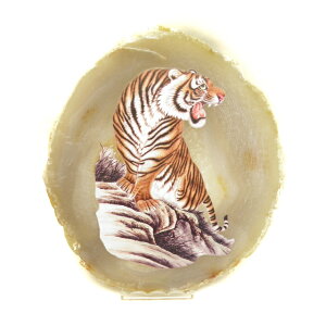 mEv[g t  ^Cv1-2 2022Nx  VR p[Xg[ v`Mtg ] ސE  ̓ hV̓ Mtg / CyAI[  킢 IV  v[