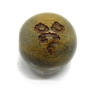 C[EnF^ߓV h  10mm r[YEr[Y ɃIXXI VR p[Xg[ / CyAI[  킢 IV  v[g Mt