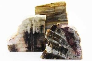 原石一面磨き 珪化木 1個売り パワーストーン / インペリアルオーラ おしゃれ かわいい オシャレ 可愛い プレゼント ギフト 贈り物