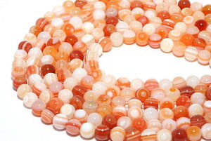 ANZT[ p[c ԓV 6mm A / VR΁Ap[Xg[̐XCyAI[  킢 IV  v[g Mtg 蕨