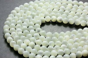 }U[Iup[ zCg 6mm A  p[Xg[ / CyAI[  킢 IV  v[g Mtg 蕨