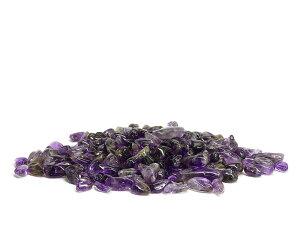 AWXg (1kg) VR p[Xg[ / CyAI[  킢 IV  v[g Mtg 蕨