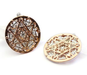 yy_ggbvz t[EIuECtPT 1 ̉ sNS[hEVo[ 40mmO v`Mtg ] ސE  ̓ hV̓ Mtg / VR΁Ap[Xg[̐X