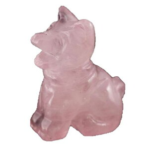 ~j蕨 茢 [YNH[c VR p[Xg[ v`Mtg ] ސE  ̓ hV̓ NX}X Mtg / CyAI[  킢 IV  v