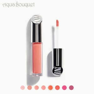 �P�A�[�E�B�X ���b�v�O���X �J���b�W (COURAGE ) 4ml KJAER WEIS LIP GLOSS [str]�t ��̓� ���j��