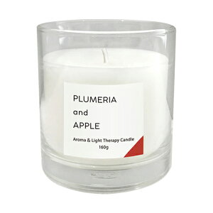 _ő100%|CgobNIԌ^J} Lh L vAAbv 160g KAMEYAMA CANDLE HOUSE PLUMERIA  APPLE [mde]