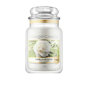 _200~OFFN[|Iʌ^L[ Lh xr[ pE_[ W[L nEXEH[}[ 623g YANKEE CANDLE BABY POWDER HOUSEWARMER[bwg]