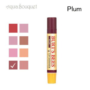 �o�[�c�r�[�Y ���b�v�V�}�[ �v���� 2.6g BURT�fS BEES LIP SIMMER CARAMEL [v89]�ėp �u�₩ ������