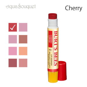 �o�[�c�r�[�Y ���b�v�V�}�[ �`�F���[ 2.6g BURT�fS BEES LIP SIMMER CHERRY [3a7]�ėp �u�₩ ������