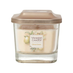 _100~OFFN[|IԌ^L[ Lh Gx[V W[ S VgXO[u YANKEE CANDLE ELEVATION CITRUS GROVE [igp]