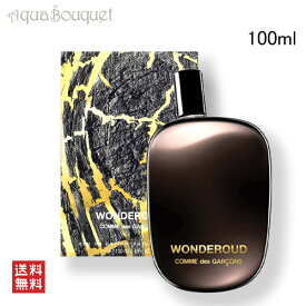 ＼6/1限定！500円OFFクーポン発行中／コムデギャルソン ワンダー ウード オードパルファム 100ml COMME DES GARCONS CDG WONDER OUD EDP