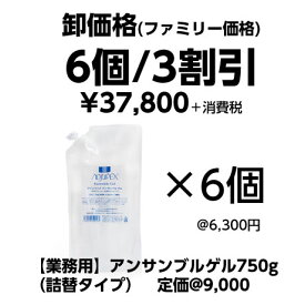 [業務用]アジュペック　アンサンブルゲル （詰替）750g×6個｜卸価格（ファミリー価格）3割引