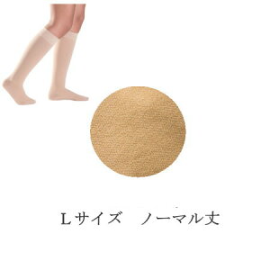 eXgbLO ×p VOoX Rbg() nC\bNX(Ђ܂) ㈳ ܐ悠 NX1 \bNX@jp@yÖ/ނ/p/GRm~[NXǌQ/