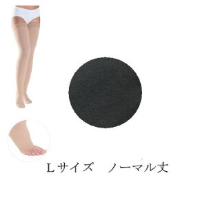 yz eXgbLO ×p VOoX Rbg() XgbLO(܂)  ܐȂ ׂ~߉H(VR) NX3 \bNX@jp@yÖ/