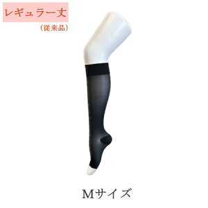 eXgbLO ×p e WuXg EgVA[30  nC\bNX(Ђ܂) ܐȂ NX2 \bNX@jp@yÖ/ނ/p/GRm~[N