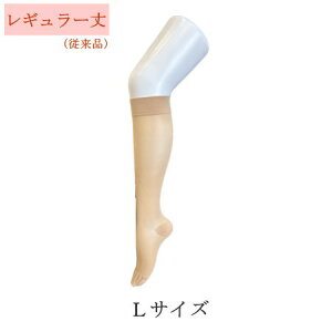 eXgbLO ×p e WuXg EgVA[20 ㈳ nC\bNX(Ђ܂) ܐ悠@NX1 \bNX@jp@yÖ/ނ/p/GRm~[N