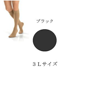 eXgbLO@×p e WuXg Iy[N1 ㈳ nC\bNX(Ђ܂) ܐ悠 NX1 \bNX@yÖ/ނ/p/GRm~[NXǌQ/\