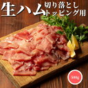 【3個ご購入で1000円OFF】 国産 生ハム 切り落とし トッピング用 500g 【冷凍品】 送料無料 業務用 大容量 切り落し 切りおとし 切落し 切落とし スライス 訳あり お徳用 端材