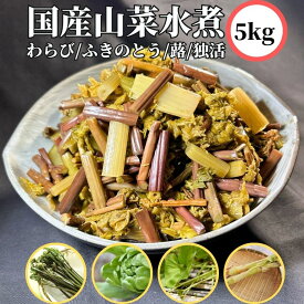 国産 山菜水煮 1kg/3kg/5kg 【常温品】 送料無料 業務用 大容量 山菜の水煮 山菜ミックス水煮 わらび 蕨 ワラビ ふき 蕗 フキ うど 独活 ウド ふきのとう 蕗の薹 フキノトウ 山菜ミックス 山菜MIX 山菜MIX水煮 1キロ