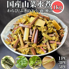 国産 山菜水煮 1kg/3kg/5kg 【常温品】 送料無料 業務用 大容量 山菜の水煮 山菜ミックス水煮 わらび 蕨 ワラビ ふき 蕗 フキ うど 独活 ウド ふきのとう 蕗の薹 フキノトウ 山菜ミックス 山菜MIX 山菜MIX水煮 1キロ