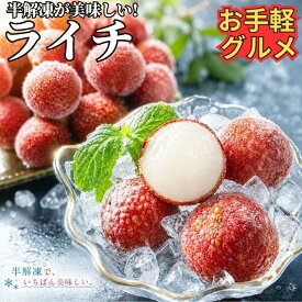 冷凍 ライチ 500g【冷凍品】 レイシ 中国原料 トロピカルフルーツ 南国フルーツ ギフト スイーツ おやつ デザート 誕生日 文化祭 屋台 夜食 お取り寄せ プレゼント 贈り物 贈答 オードブル 果実