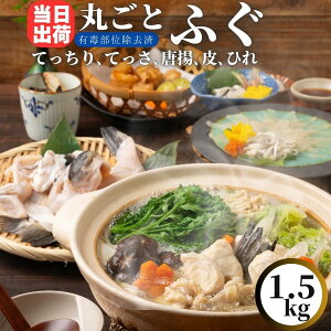 ۂƈ Ƃӂg yⓀiz ӂ ͓ ӂ ӂ Ă ͓ؓ Ă ӂ  Ɩp H Ⓚ  g ӂh ӂhg  g 