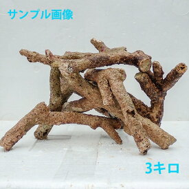 楽天市場 ライブロック 1kgの通販