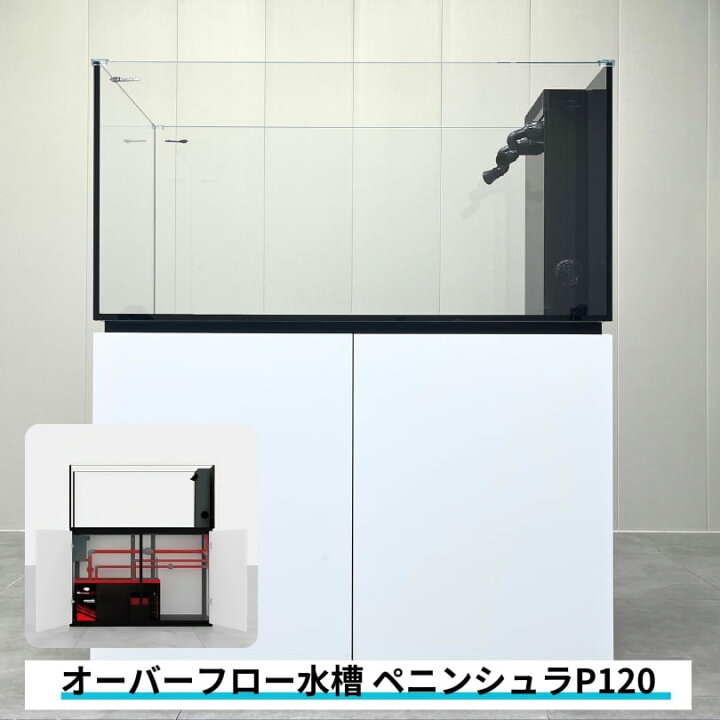 楽天市場】両面から鑑賞できる120cmオーバーフロー水槽 P120  
