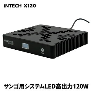 ~hCVɍœKȃTSp LEDƖ X120 o120W CgA[t