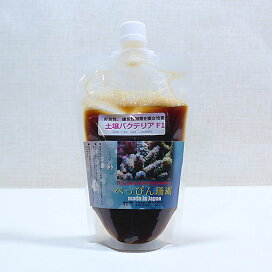 楽天市場】ナンヨウハギ MLサイズ 8-10cm !ハギ 海水魚 15時までのご 