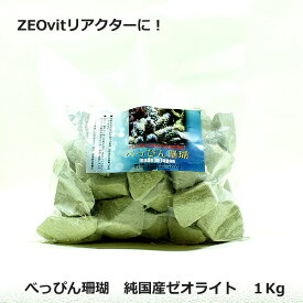 楽天市場 珊瑚 水槽の通販