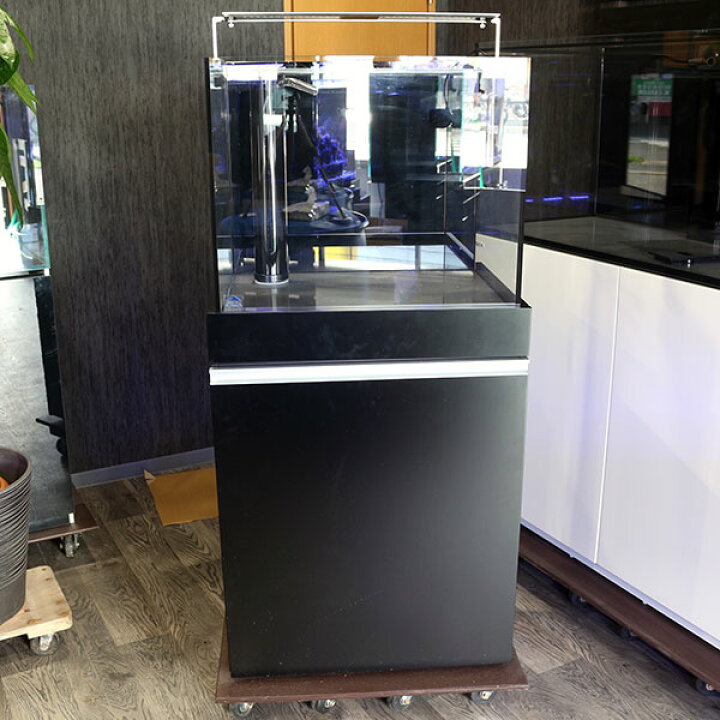 楽天市場】【店頭引渡】オルカT60 オーバーフロー水槽 コンプリート  