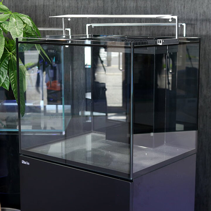 楽天市場】【店頭引渡】レッドシー REEFER170 オーバーフロー水槽 