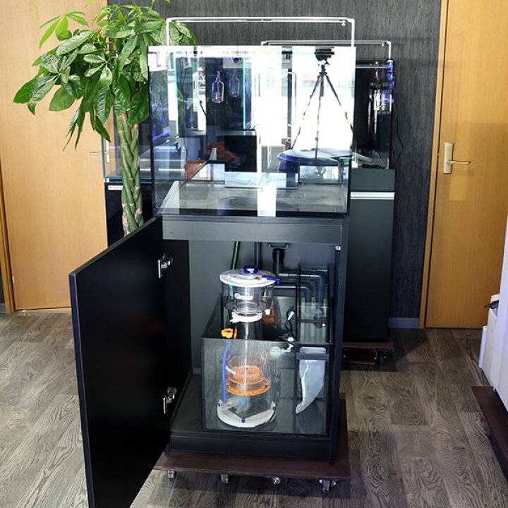 楽天市場】【店頭引渡】レッドシー REEFER170 オーバーフロー水槽 