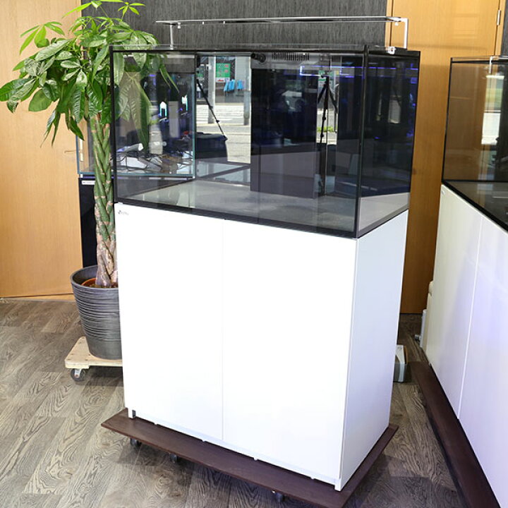 楽天市場】【店頭引渡】レッドシー REEFER250 オーバーフロー水槽 