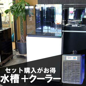 オーバーフロー 水槽 60の人気商品 通販 価格比較 価格 Com