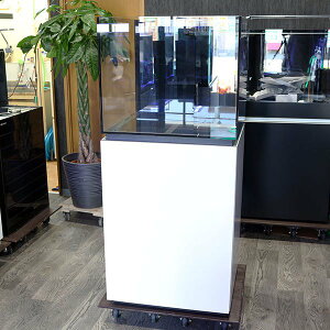 オーバーフロー 水槽 60の人気商品 通販 価格比較 価格 Com オーバーフロー 水槽 60の人気商品 通販 価格比較 価格 Com