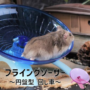 tCO\[T[ 񂵎 ^ ~ nX^[ h[t S[f