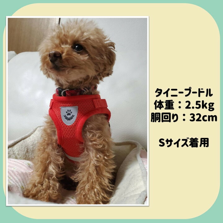 ハーネス 小型犬 可愛い 抜けない おしゃれ かわいい 中型犬 リード付 犬 猫 ペット 服 胴輪 犬用ハーネス 犬用胴輪 キャット ドッグ メッシュ 小型犬用 中型犬用 犬の服 猫の服 ドッグウェア 男の子 女の子 春 夏 秋 冬 黒 赤 青 黒 ブラックM ハーネス メッシュ リード 首輪 胴輪 犬 散歩 ペット 夏