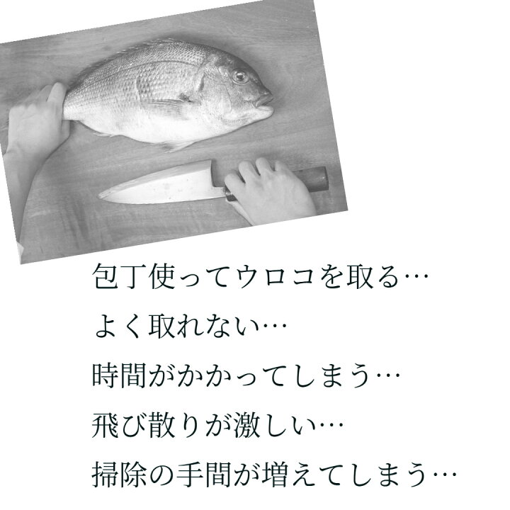 楽天市場 うろこ取り ウロコ取り 日本製 鱗取り 魚 捌く 釣り 内臓 ステンレス 燕三条 カンダ 調理器具 うろことり Aquamint 楽天市場店