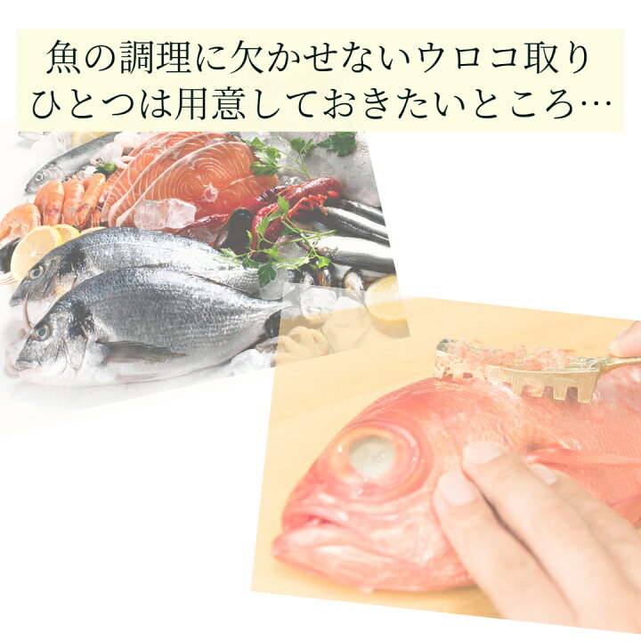 楽天市場 ポイント5倍 うろこ取り ウロコ取り 日本製 鱗取り 魚 捌く 釣り 内臓 ステンレス 燕三条 カンダ 調理器具 うろことり Aquamint アクアミント 楽天市場 ポイント5倍 うろこ取り ウロコ取り 日本製 鱗取り 魚 捌く 釣り 内臓 ステンレス 燕三条 カンダ 調理器具 うろことり Aquamint アクアミント