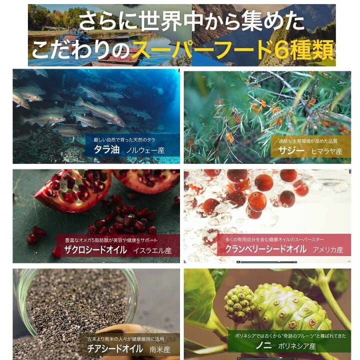 楽天市場】ゼンノア コアケア と SRQ のセット オメガ3 サプリ オメガ 