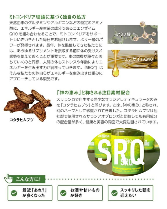 楽天市場】ゼンノア SRQ サラシア コエンザイムq10 ミトコンドリア 