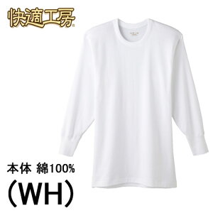 O[ KH[ GUNZE am X  Y  ێVc 100% LPA I[V[Y z K p j Ci[ lC uh N fC[ Vv Sn OK 