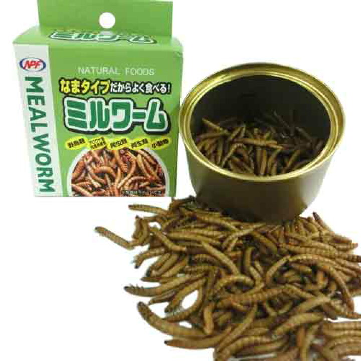 74%以上節約 ドライミルワーム50g 嗜好性抜群 高淡白フード 爬虫類 小動物 アクアリウム ドライミルワーム20g 嗜好性抜群 高淡白フード 爬虫類 小動物 アクアリウム