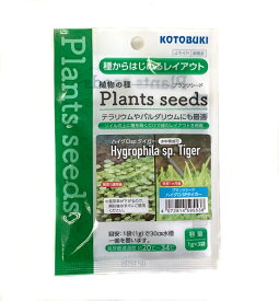 コトブキ　植物の種　プランツシード　ハイグロSPタイガー　1g×3袋