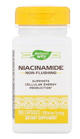 2個セット Nature's Way ナイアシンアミド（ビタミンB3） 500mg 100粒