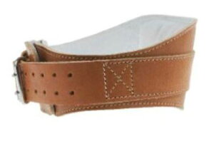 V[N@SCHIEK SPORTS@p[U[ Rg[xg2006 XXL