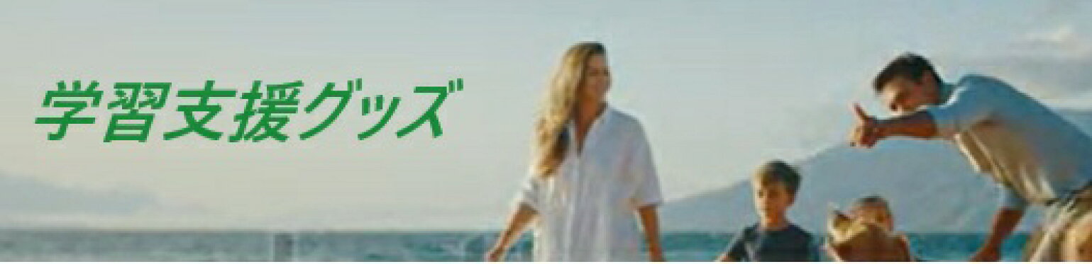 障碍児おもちゃ