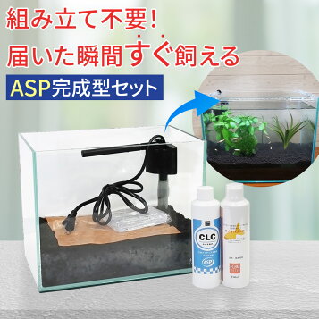 楽天市場】小型水槽 2台用 ろ過装置セット【新着】【水槽/熱帯魚/観賞 